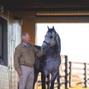 대신종축 이미지