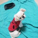 <b>금찌</b>~ 인사드려용~