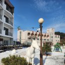 홍천썬호텔&펜션 이미지