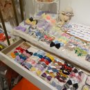 성남애견 이미지