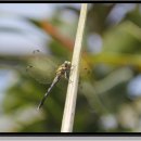 서부농업기술센터 이미지