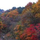 삽당령 정상 이미지