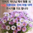 나눔과기쁨 이미지