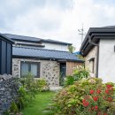 스테이 리네 이미지