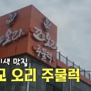 꼬꼬언니 이미지