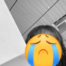 휴토스 | 일기)호주 애들레이드행 말레이시아항공 기내식 후기 | 토스카드 교통카드 | 혼자 가는 첫 해외 주절주절