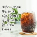미스코리아가 특전사로 입대 이미지