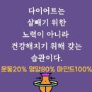 매일점핑