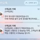 학동 애견 | 학동/논현동 애견동반 카페 수목금토 방문 후기
