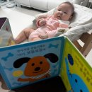 (주)정진팜 | 11주차 육아일기 : 꼬미, 지덕체를 함양하라