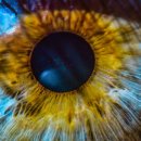 CW-1299-01 이미지