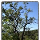 두실농장 이미지