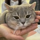 금천종합동물병원 이미지