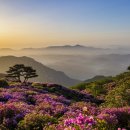 철쭉피는황매골마을 이미지