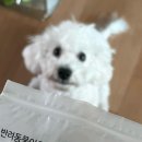 천풍동물병원 이미지