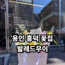 발레드무이 - 수원시 영통구 광교중앙로 145 | 흥덕 꽃집 주변에서 제일 잘 하는 발레드무이