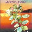 김효신 글, 그림책 / 향기 가득한 비밀의 정원 이미지