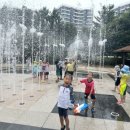 국가대표 인성태권도장 이미지