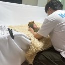 러블리안 | [0개월] 신생아 본아트 시월사진관 출장 촬영 후기(=러블리안 카메라) 내돈내산