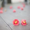 레이탐베이 이미지