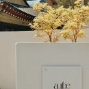 스튜디오 오브 | [대전 스튜디오] 오브하우스 촬영 후기