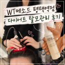 센텀스카이 | 평택다이어트탈모 고민 해결! WT메소드 평택점 탈모 스페셜케어 솔직 후기🧖🏻‍♀️🫧