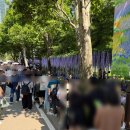 국제빌딩 | [2025 서울국제정원박람회] 보라매공원 다녀온 후기｜가는길, 주차, 메타몽, 장미정원 위치