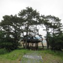 양산천변 이미지