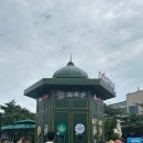 [서부] 영어 첫걸음(2025) | 2025 여름 3박 4일 칭다오 여행