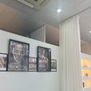 루시아뷰티 - 전주시 덕진구 | 여름 휴가 맞이 네일 212네일뷰티&푸스 대전유천점