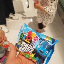 멍멍타요 이미지