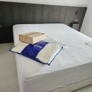 금성인테리어 - 마포구 굴레방로9길 54 | 대구침대 대구금성침대 [대구 배송후기] 달서구 신당동, 벽면 인테리어와 완벽 조화! 금성침대...