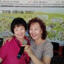 안양시청 이미지