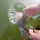 대류한버들낚시터 이미지