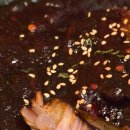 토지금고시장(관리실) | 인천용현동맛집 토지금고맛집 ‘뼈쳐’ — 매운맛 끝판왕 숯불 뼈요리전문점 솔직 후기!