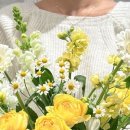 해돋이슈퍼 이미지