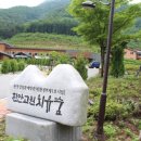 진안1호 이미지