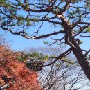 박경숙헤어 이미지