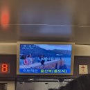 호텔다움 | 울산여행ㅣ내돈내산, 호텔다움 숙박 후기 / 가성비 좋은 울산호텔 추천!