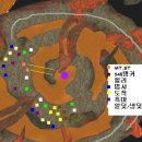 파라글로