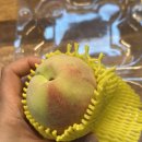 오남매농장 이미지