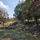 매화공원 족구장+농구장 | 제주여행 가볼만한곳 산책하기 좋은 서귀포시 칠십리공원