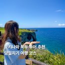 0406-0004 | 오키나와 북부 투어 추천 추라우미 만좌모 당일치기 여행 코스