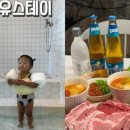 스테이 도토리 이미지