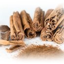 계수나무 이미지