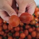 행복드림농장 이미지