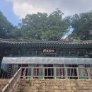 비래사