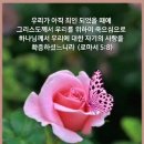 내 주의 보혈은 이미지