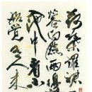 국당 Daum카페
