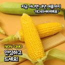 [모야모야] 국내산 초당옥수수 이미지